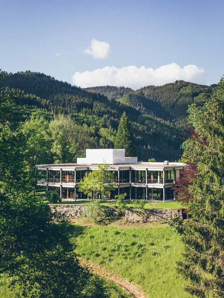 Das Institutsgebäude im Grünen