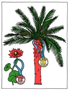 Illustration einer Dattelpalme, die 1900 Jahre alt ist. 