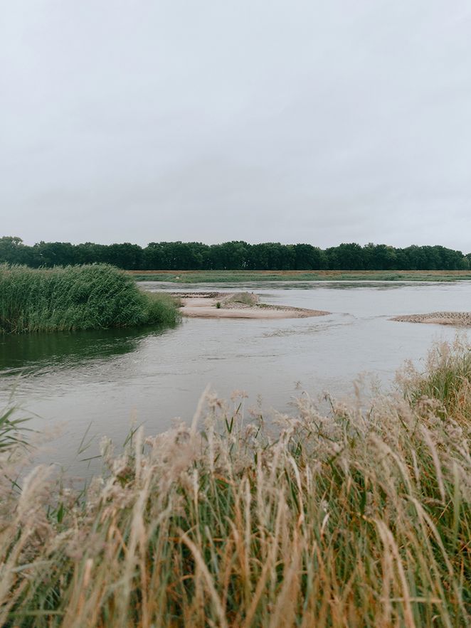 Nebenarm der Oder, der unterbrochene Wall des Parrallelwerks ragt aus dem Wasser.