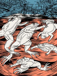 Bunte Illustration von Fröschen im Wasser.