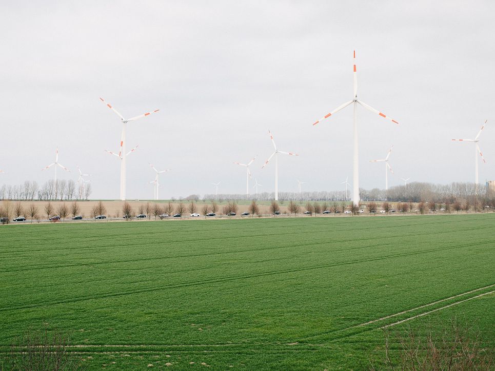 Grüne Feldfläche, Windräder und eine Straße mit parkenden Autos.