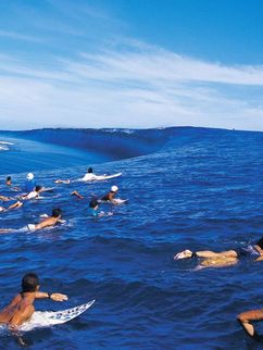 Surfende, auf ihren Brettern liegend, schwimmen auf einer großen Welle.