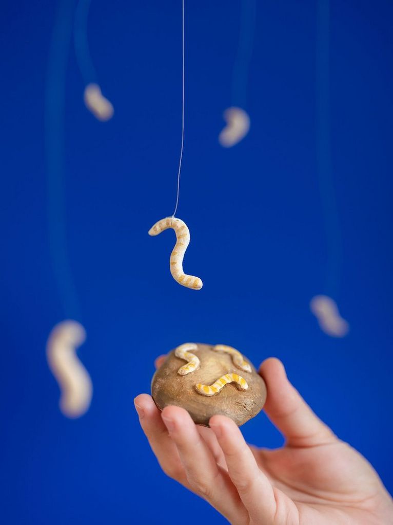 Mehlwürmer aus Plastik an Schnüren und auf einem Plastik-Cookie.