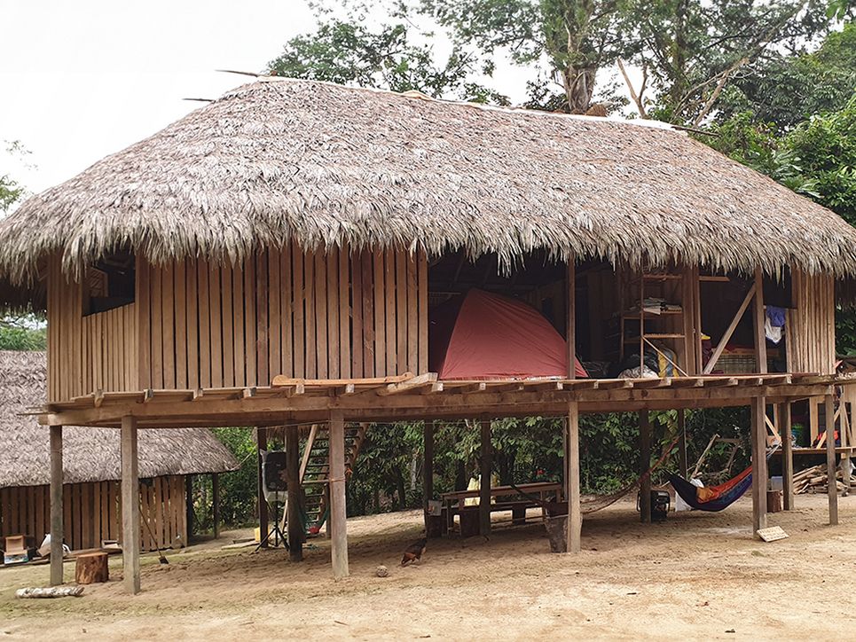 Holzhütte auf Stelzen. Im Innenraum steht ein Zelt. Der Untergrund ist sandig. Regenwald Leibniz Magazin