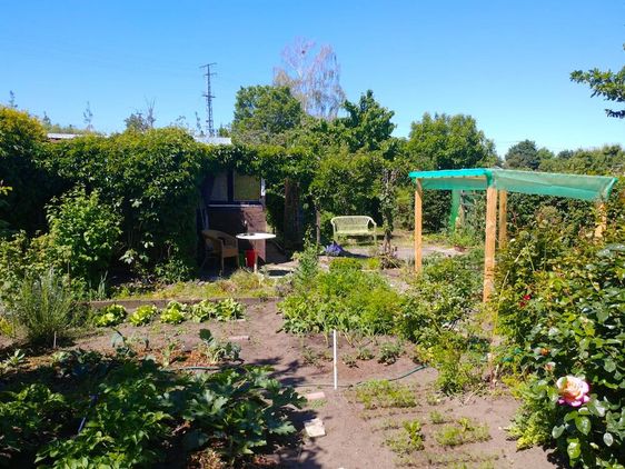 Gemüsegarten