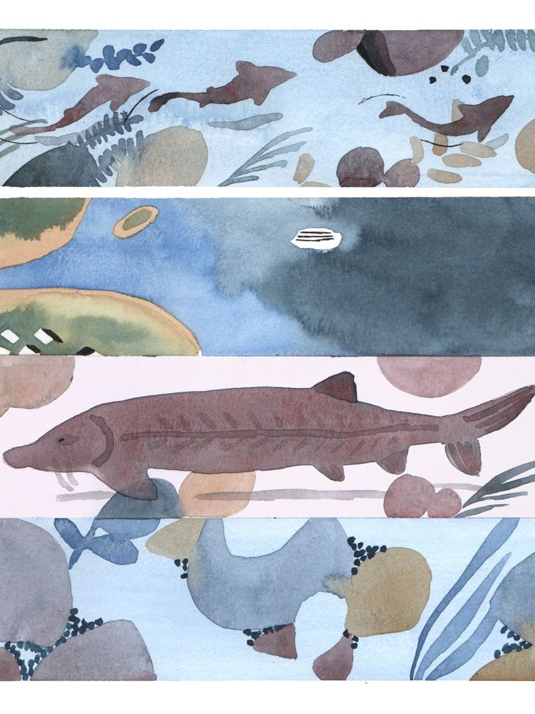 Aquarell Bild mit Stören.