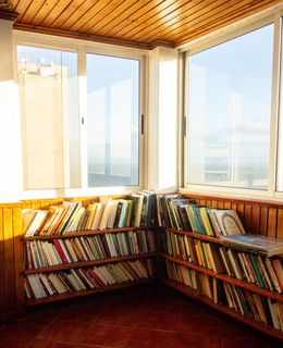 Bücherregal Bücher Lesen Meerblick Leibniz Magazin 