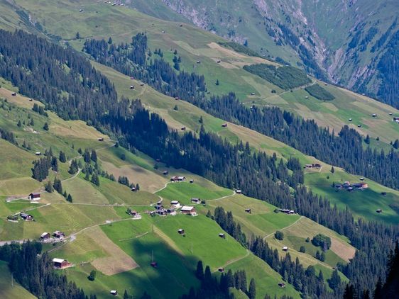Blick von oben auf grüne, sonnenbeschienene Felder, Wald, vereinzelte Häuseransammlungen und Straßen.