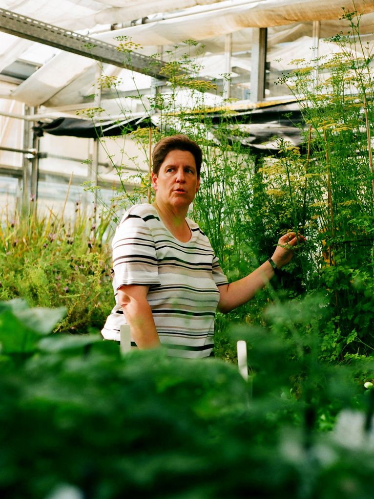 Ulrike Lohwasser zwischen hohen Pflanzen im Gewächshaus.