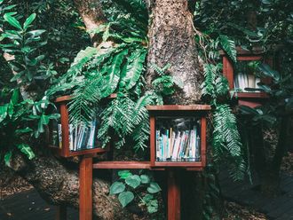 Bücherkästen aus Holz, die an einem Baum mit intensiv-grünen Blättern angebracht sind.