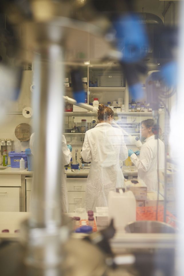 Drei Wissenschaftlerinnen im Labor.