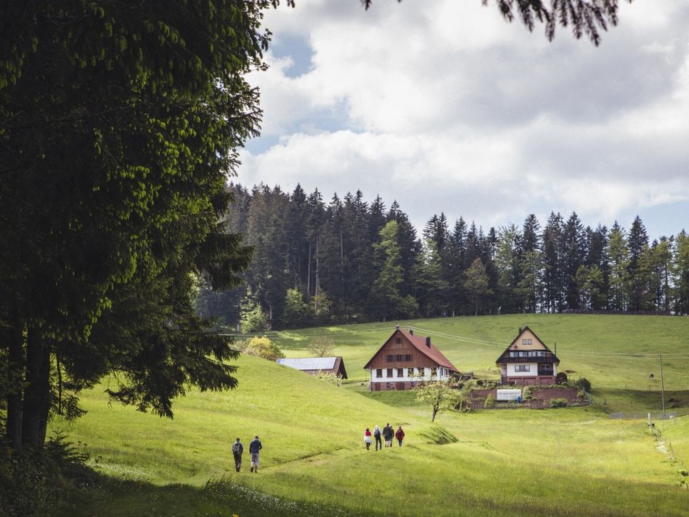 Wandernde Personen auf einem Feldweg, vor ihnen Bauernhäuser.
