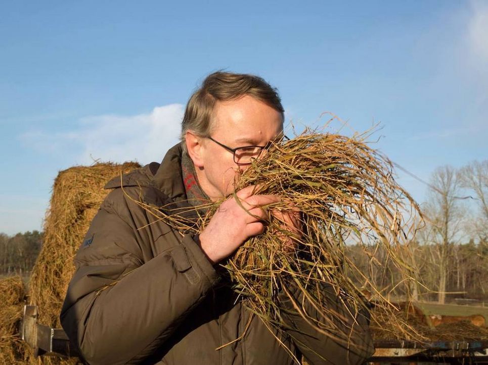 Reiner Brunsch riecht an einem Büschel Heu.