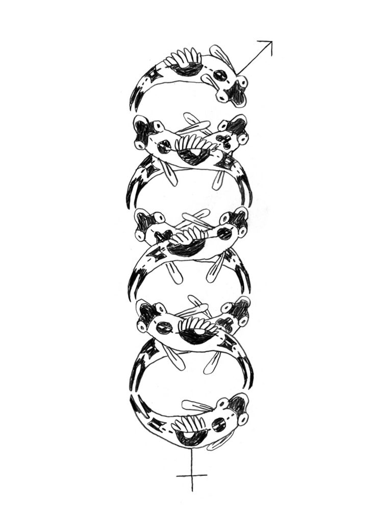 Illustration von Schlangenförmigen Fischen, die ein achterförmige Formation darstellen. Oben bildet sie das männliche, unten das weibliche Gender-Symbol.