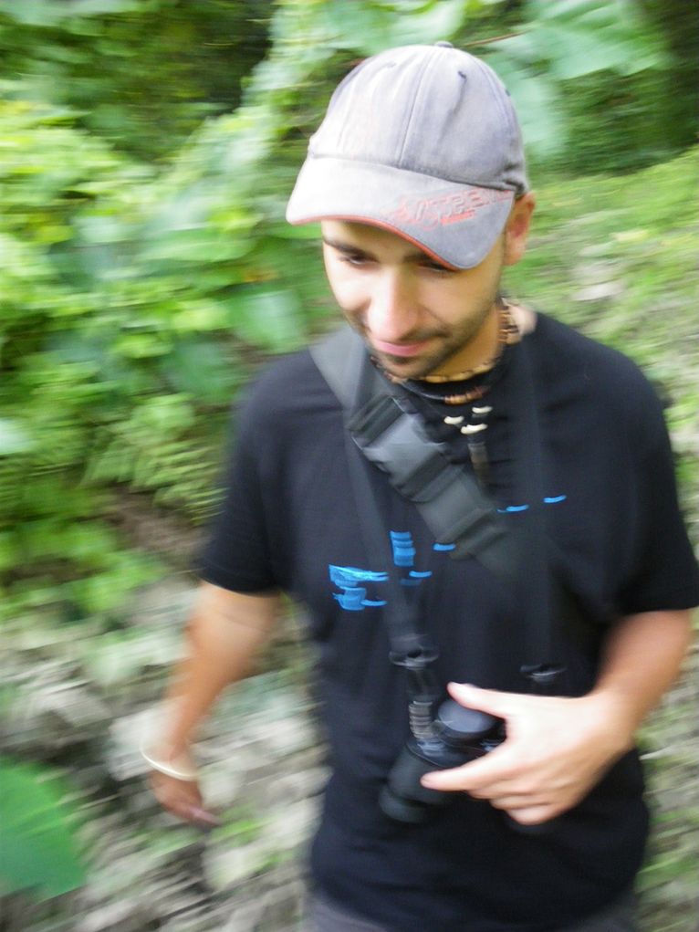Andreas Wilting im Wald - Leibniz Magazin 