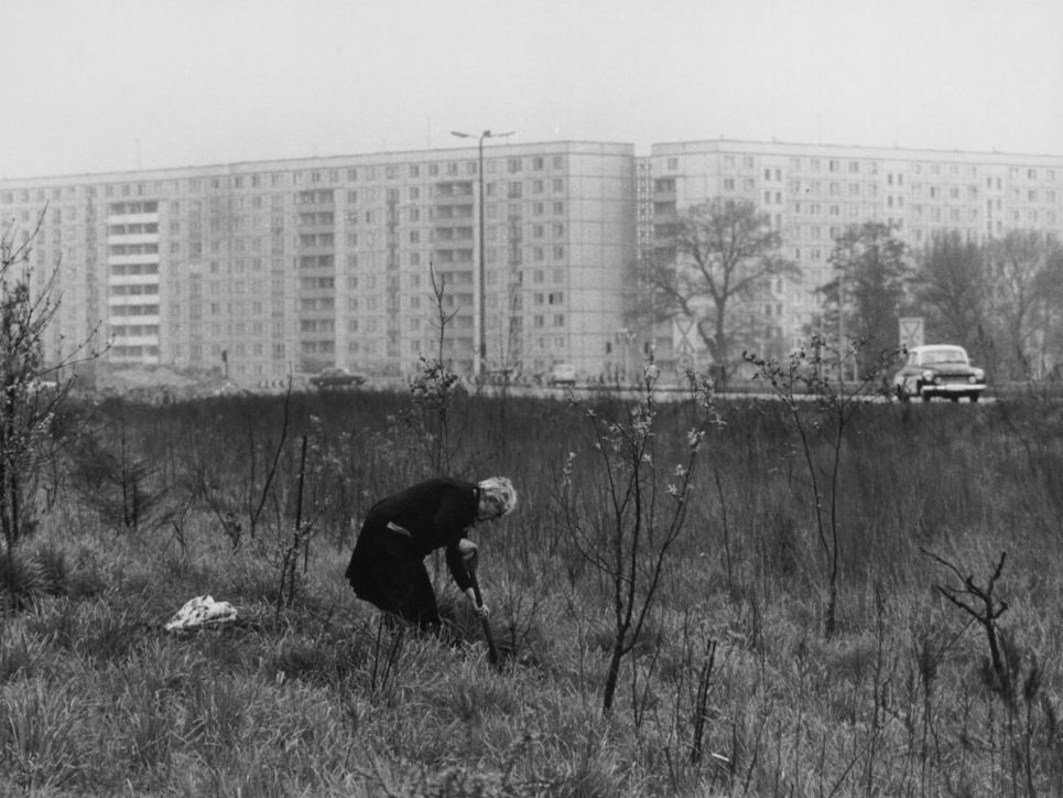 Eine Frau gräbt um auf einer Wiese vor einer Plattenbausiedlung, auf der Straße fährt ein Auto.