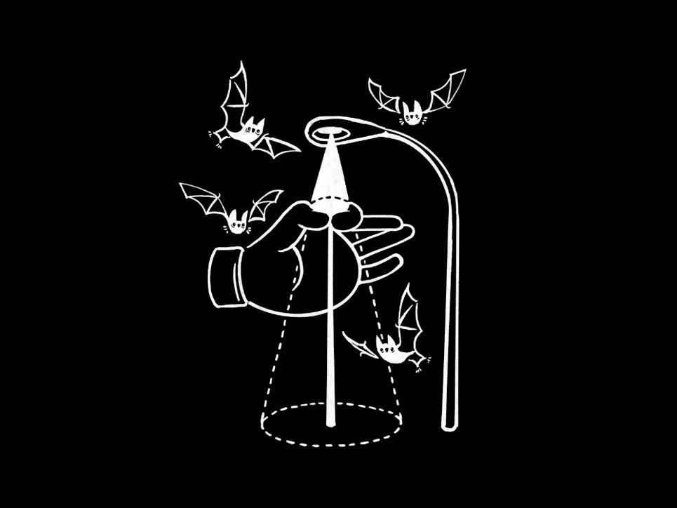 Schwarzer Hintergrund weiße Illustration einer Laterne, die einen Lichtkegel wirft. Daneben erscheint eine übergroße hand, die mit Daumen und Zeigefinger den Lichtkegel der Laterne umfasst und diesen verkleinert. Darum herum fliegen vier Fledermäuse.Hand hält eine Lampe, um die mehrere Fledermäuse fliegen.