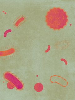 Bunte Illustration von Viren in unterschiedlichen Formen.