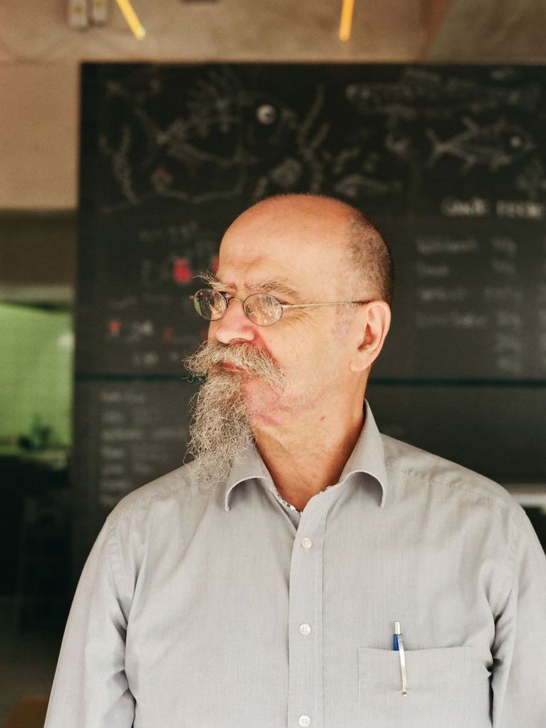 Porträt von GEORGIOS PAPASTEFANOU.