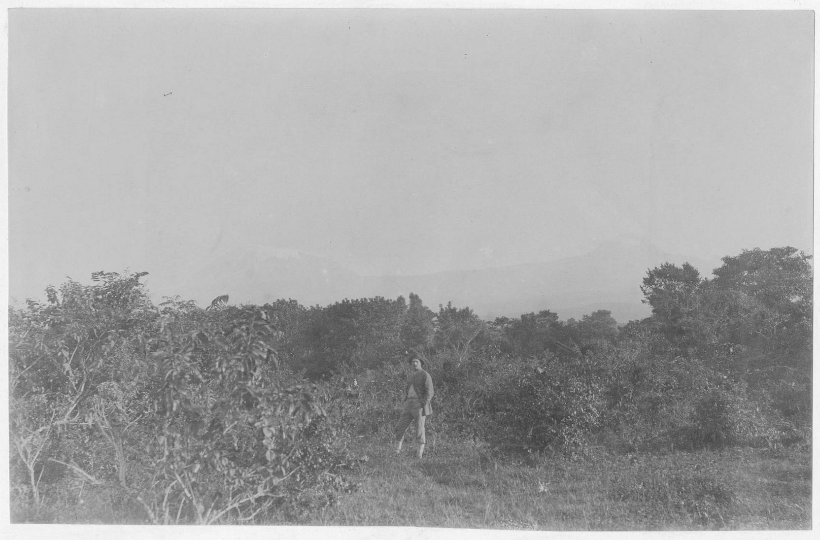 Historische Fotografie zeigt Hans Meyer im Urwald.