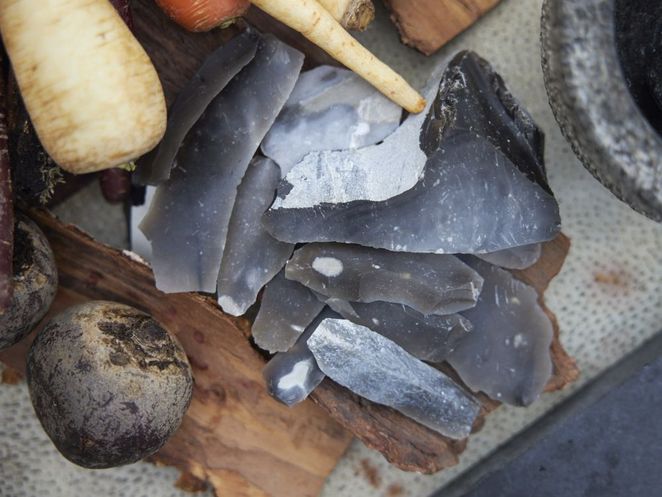 Steinklingen liegen neben Pastinaken und Rote Beete. Leibniz Magazin