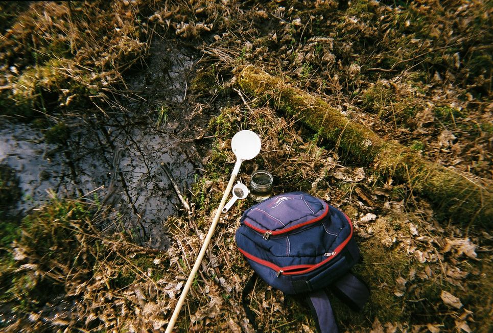 Rucksack, Kelle, Sieb und Schraubglas auf dem Waldboden.