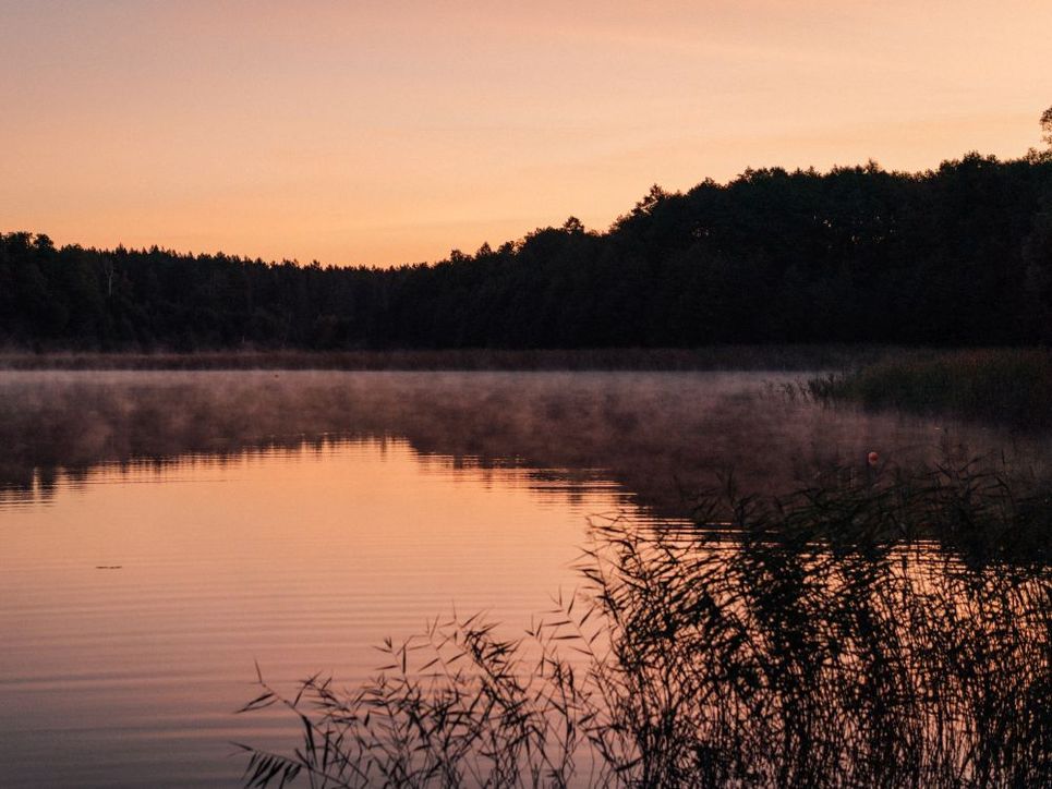 Ruhiger See mit aufsteigendem Nebel im warmen Licht des Sonnenaufgangs.