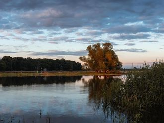 Ruhiger See am Abend mit Schilf und Bäumen im Hintergrund.