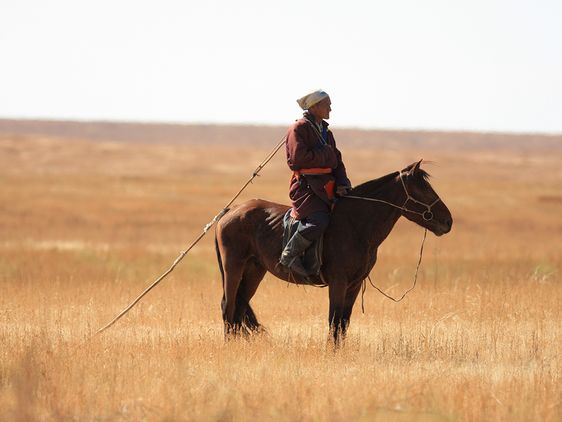 Hirte blickt in die Ferne der Steppe. Er sitzt auf einem braunen, stehenden Pferd.