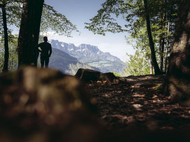 Wald am Obersalzberg Leibniz Magazin