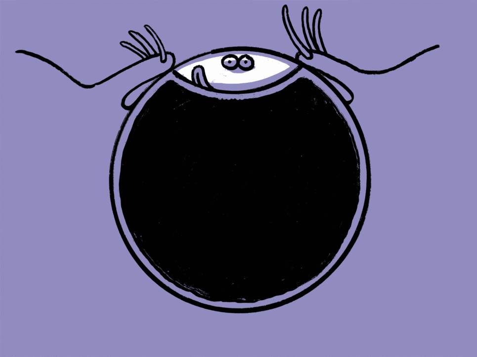 Illustration einer lachenden Kugel, die von zwei Händen gehalten wird.