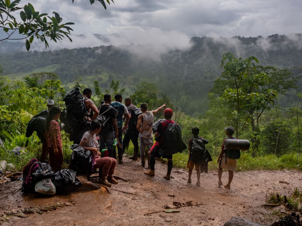 Menschen im Darien Gap blicken über den Wald Leibniz Magazin