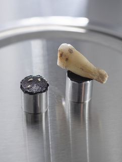 Zahn eines Neandertalers auf einer Ablage aus Edelstahl. Daneben eine weitere, auf der kleine Zahnreste liegen.