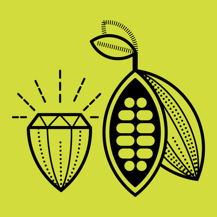 Illustration einer aufgeschnittenen Kakaobohne und eines Diamanten.