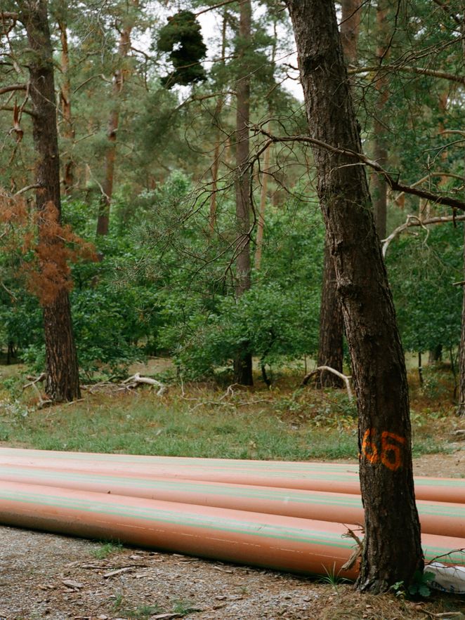 Rohre liegen auf dem Waldboden.