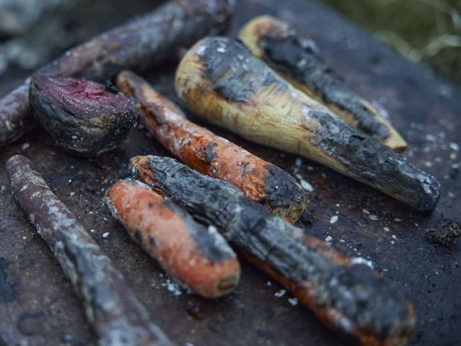 Auf einer Steinplatte rösten Rote Beete, Karotten und Pastinake. Leibniz Magazin