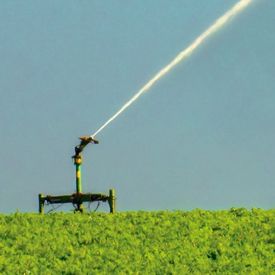 Wassersprenkler auf einem Feld.