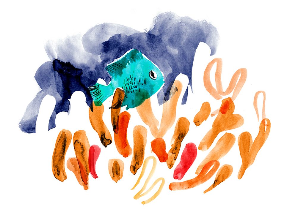 Illustration eines blauen Riffbarsch neben einer Koralle