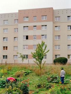 Bunter Garten vor einem mehrstöckigen Hochhaus.
