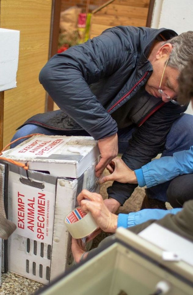Eine Person mit einer Box, mit der Aufschrift: Exempt Animal Specimen.