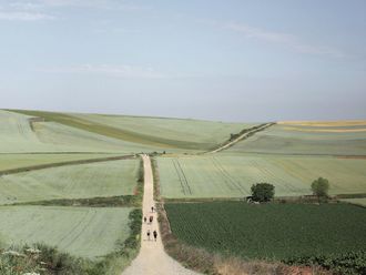 Feldweg durch grüne Felder, auf dem ein paar Personen zu sehen sind.