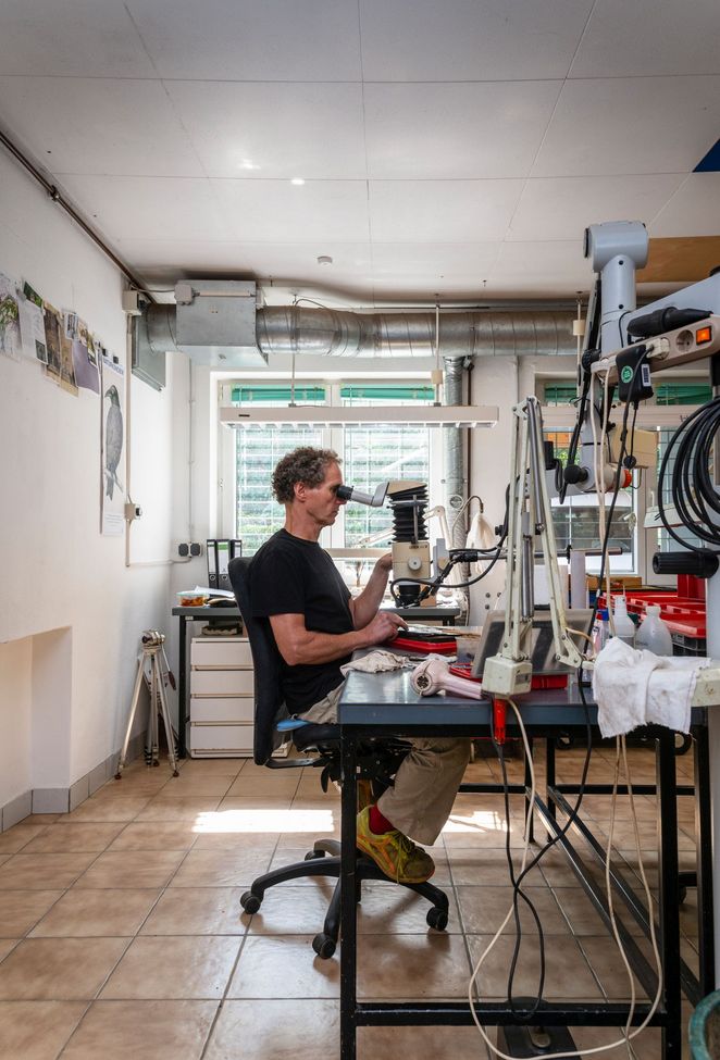 Michael Ackermann arbeitet mit einem Mikroskop in einer Werkstatt.