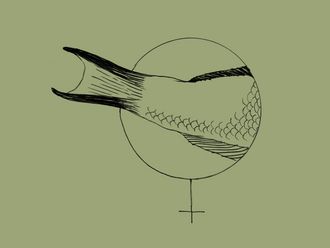 Illustration. Die Schwanzflosse eines Fisches ragt aus dem Kreis des weiblichen Gender-Symbols heraus.