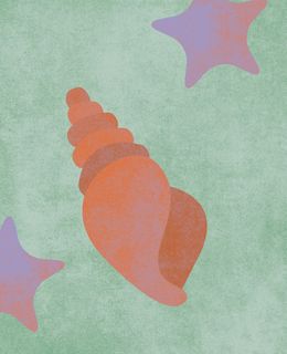 Illustration von einer Seeschnecke und zwei Seesternen