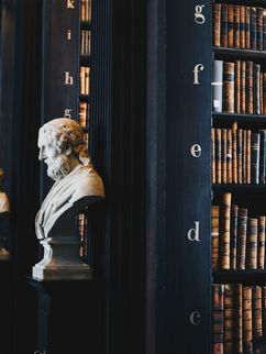 Bibliothek mit alten Büchern und Marmorbüsten.