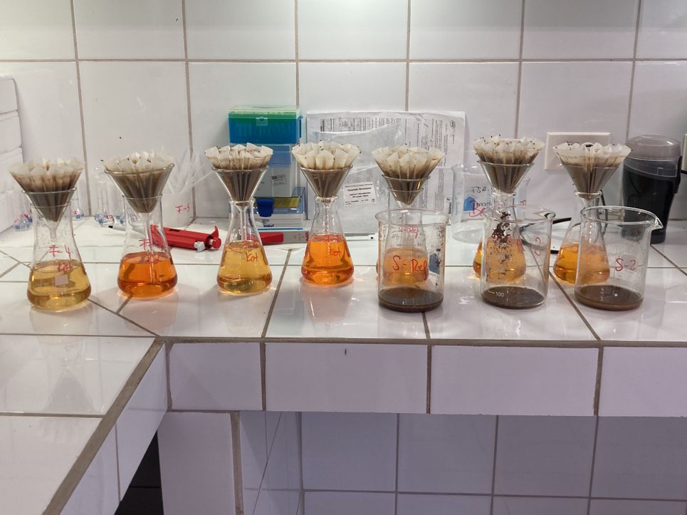 Gläser mit gelblicher, orangener und bräunlicher Flüssigkeit und Filtern mit dunkelbraunem Inhalt auf einer gefliesten Arbeitsfläche.