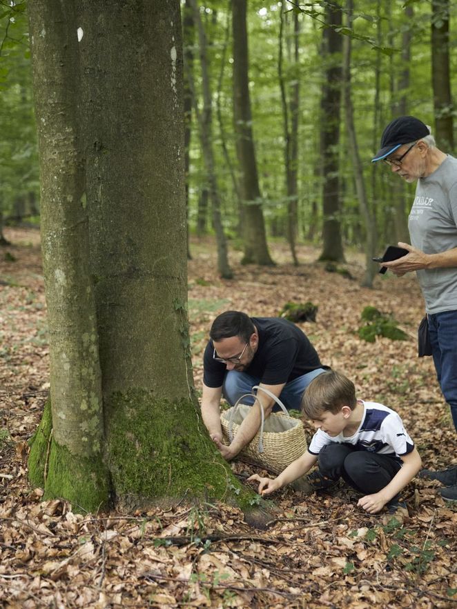 Der kleine Junge findet eine Stelle im Wald mit Pfifferlingen. Leibniz Magazin