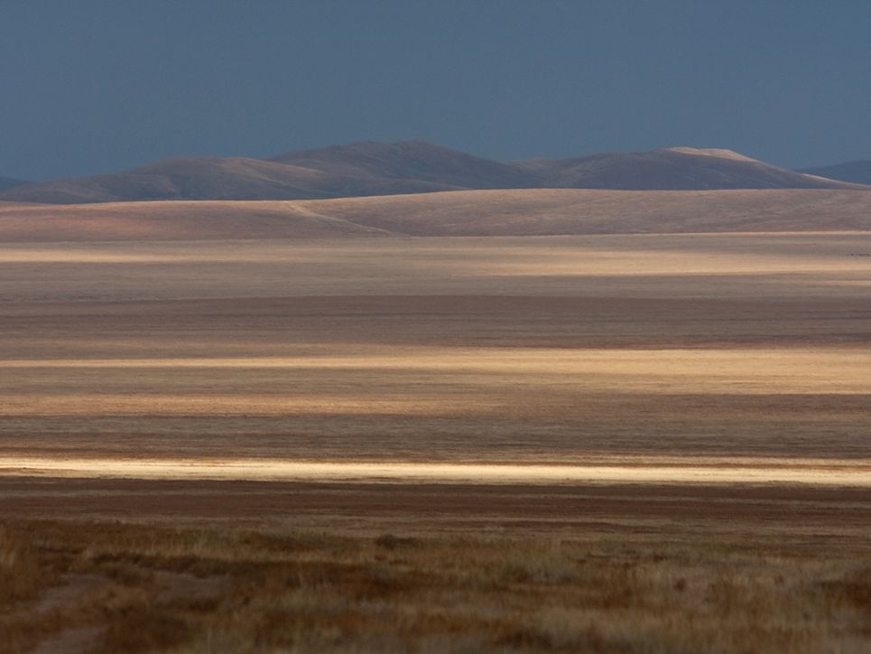 Steppe in verschiedenen braunen Schattierungen, in der Ferne Berge und dunkler Himmel.