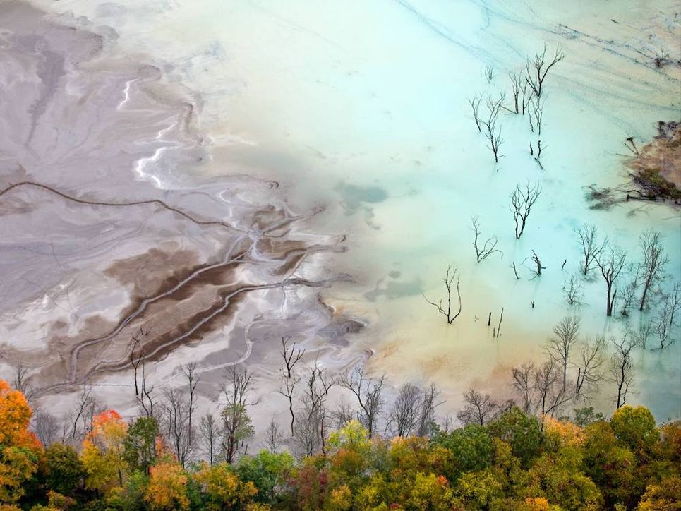 Hellblau und hellviolett gefärbtes Wasser, aus dem dünne Bäume ohne Blätter ragen.