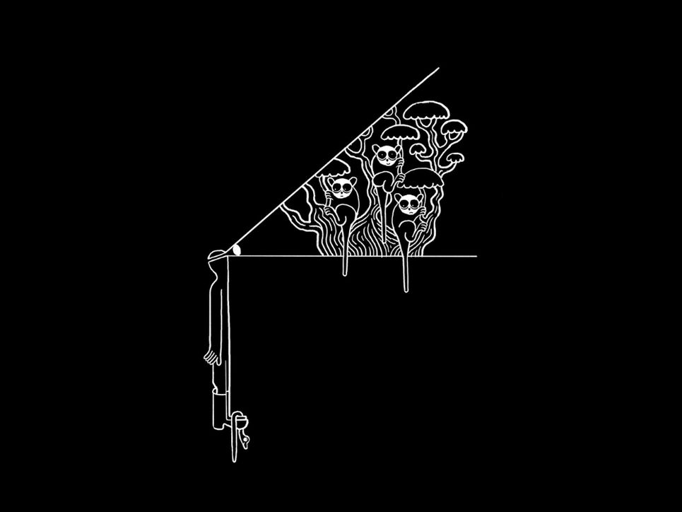 Schwarzer Hintergrund, weiße Illustration einer Person mit einer Stirnlampe, die nach oben schaut. Im Lichtkegel der Stirnlampe sind drei Affen an stilisierten Bäumen hängend zu erkennen. An den Stiefeln der Person hängt eine einzelne Schlange. .